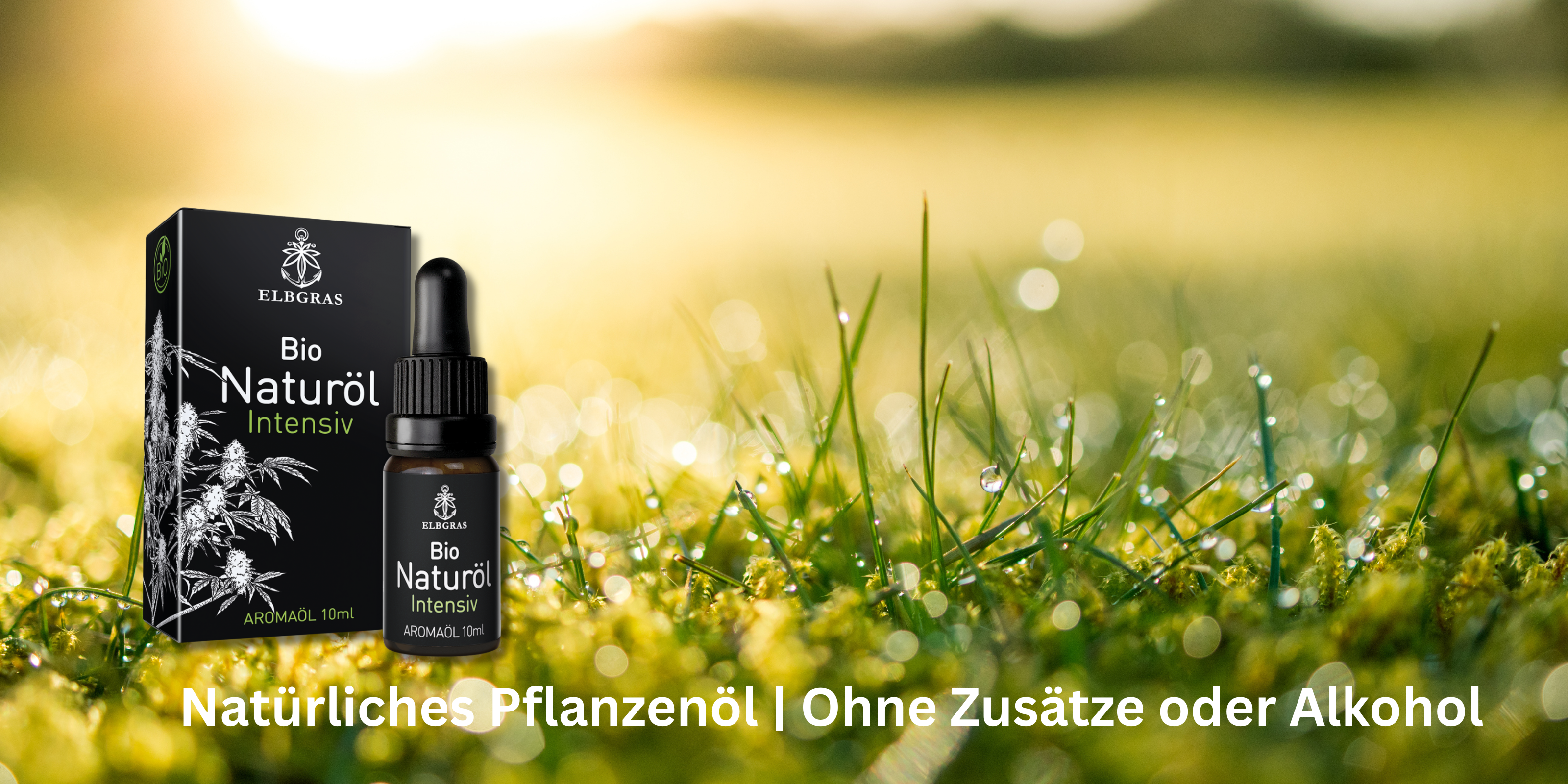 Einstieg zum deutschen Onlineshop